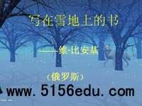 《写在雪地上的书》ppt课件3